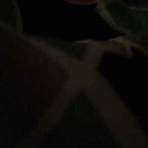 Meet your Posher, Caitlynn